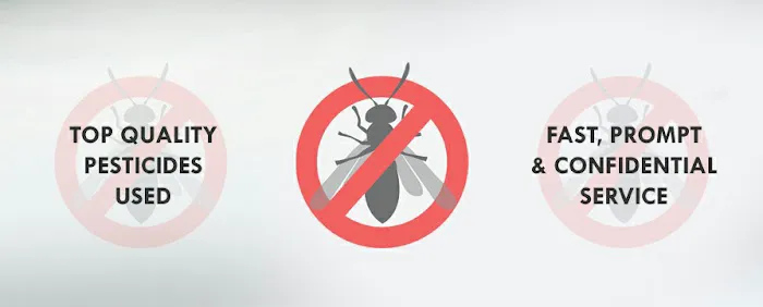 Hillcrest Pest Control llc Picture 1