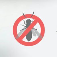 Hillcrest Pest Control llc ico