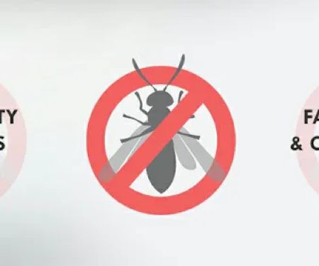 Hillcrest Pest Control llc