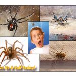 Chagrin Valley Pest Control