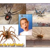 Chagrin Valley Pest Control ico