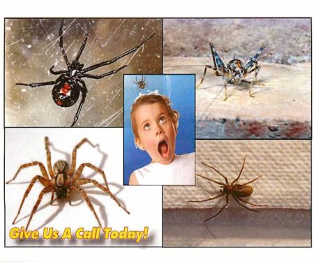 Chagrin Valley Pest Control