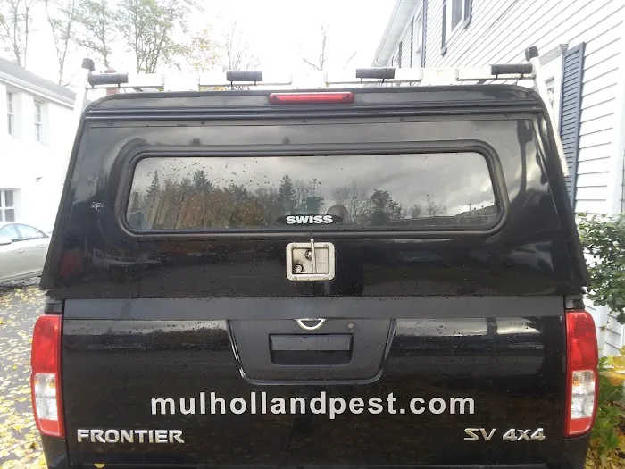 Mulholland Pest Control Picture 7