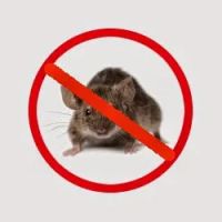 Chagrin Valley Pest Control ico