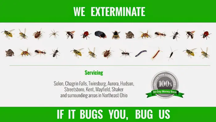 Chagrin Valley Pest Control Picture 2