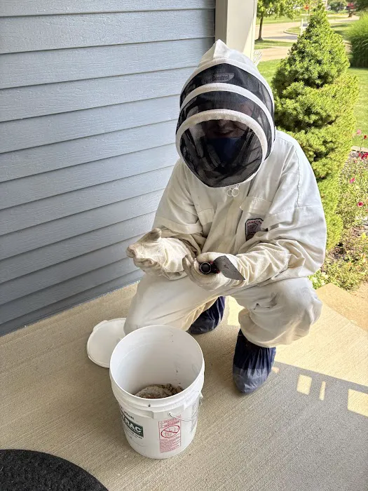 Absolute Pest Control Picture 5
