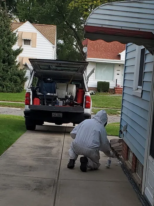 Absolute Pest Control Picture 1