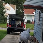 Absolute Pest Control