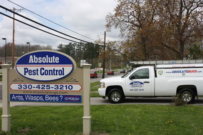 Absolute Pest Control Picture 10