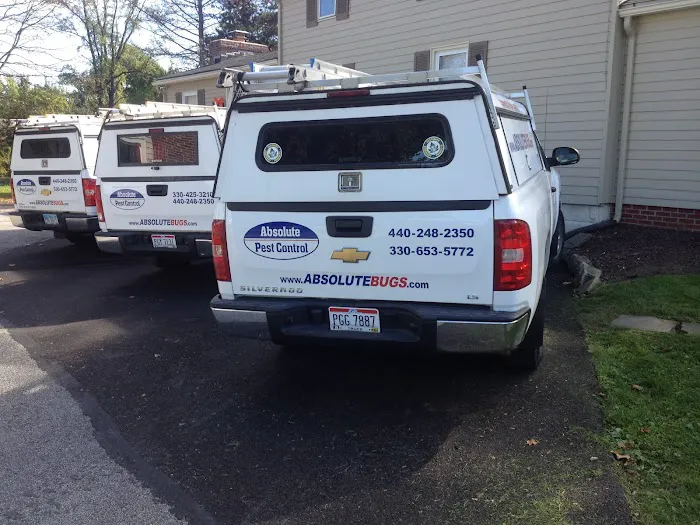 Absolute Pest Control Picture 2