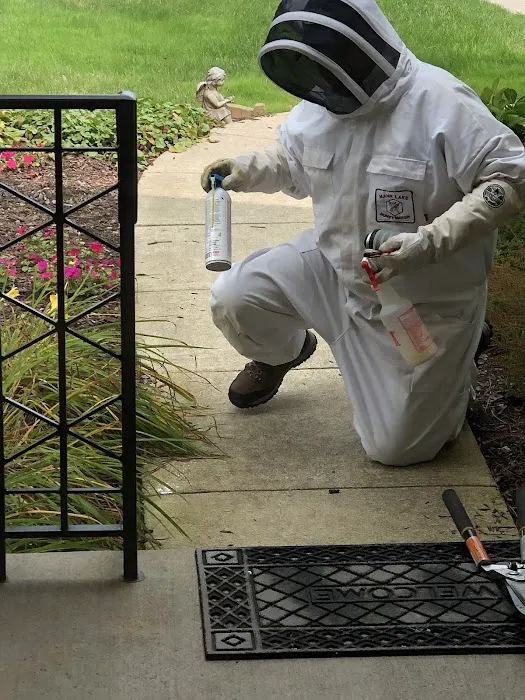 Absolute Pest Control Picture 6