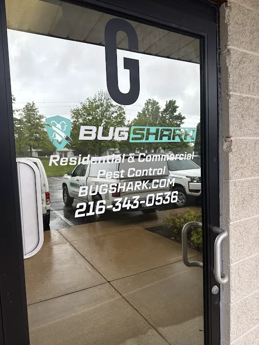 Bug Shark Cleveland Picture 6