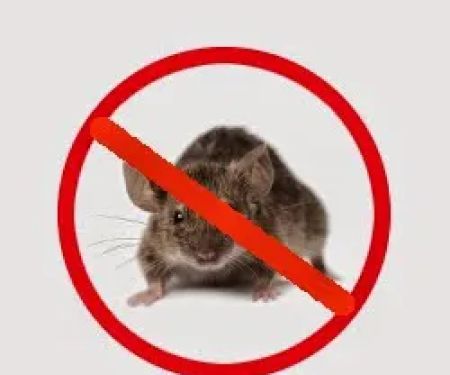 Chagrin Valley Pest Control