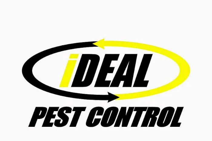 iDeal Pest Control & Window Cleaning Picture 2