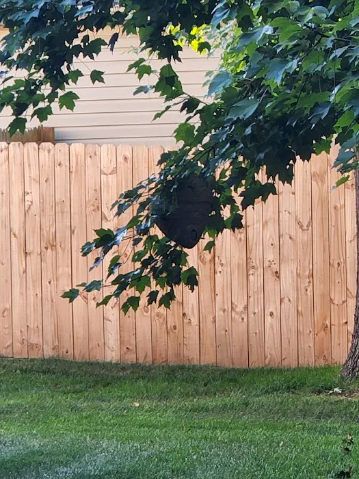 Relentless Pest Control Picture 7