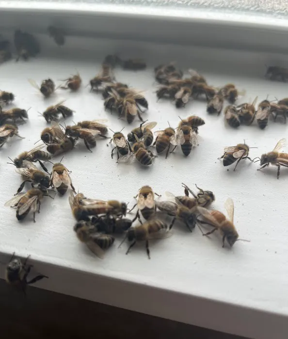 Covenant Pest Control Inc. Picture 2