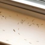 Covenant Pest Control Inc.