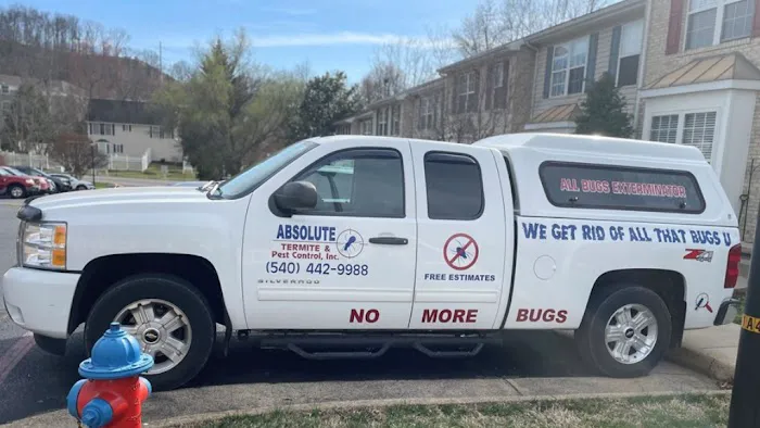 Absolute Termite & Pest Control Picture 1
