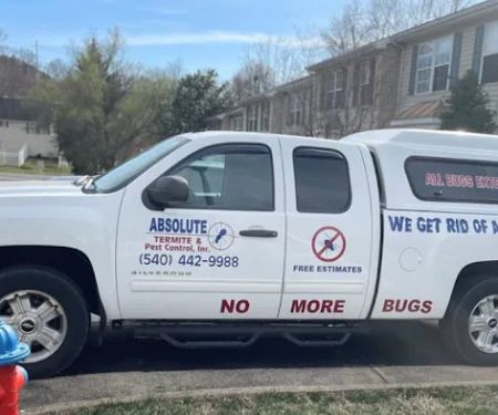 Absolute Termite & Pest Control