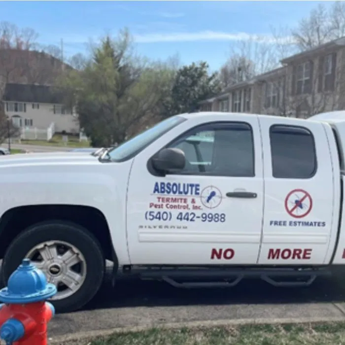 Absolute Termite & Pest Control Picture 2