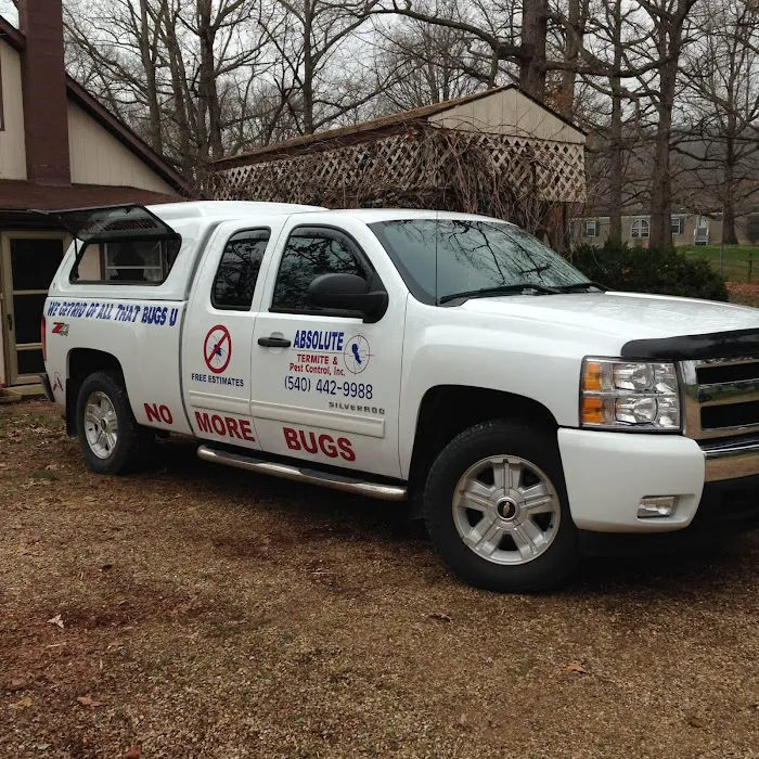 Absolute Termite & Pest Control Picture 3