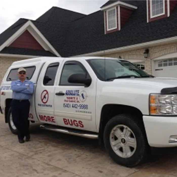 Absolute Termite & Pest Control Picture 4