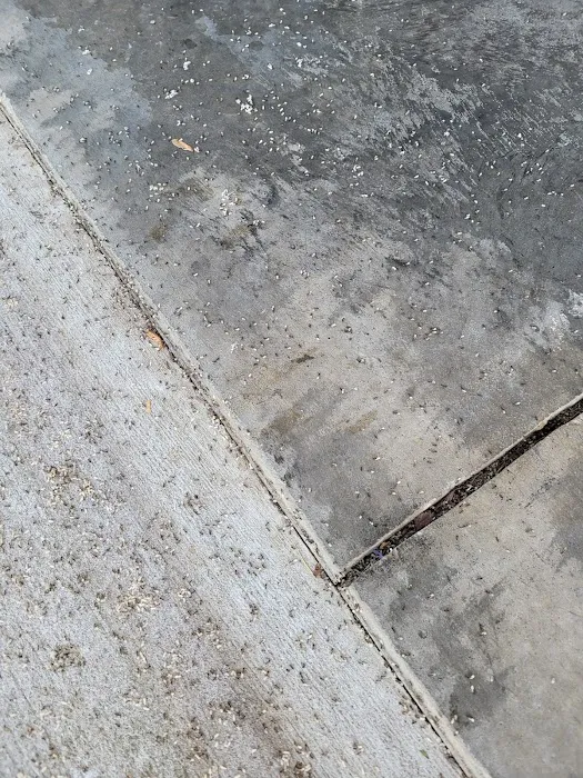 BioShield Pest Control Picture 4