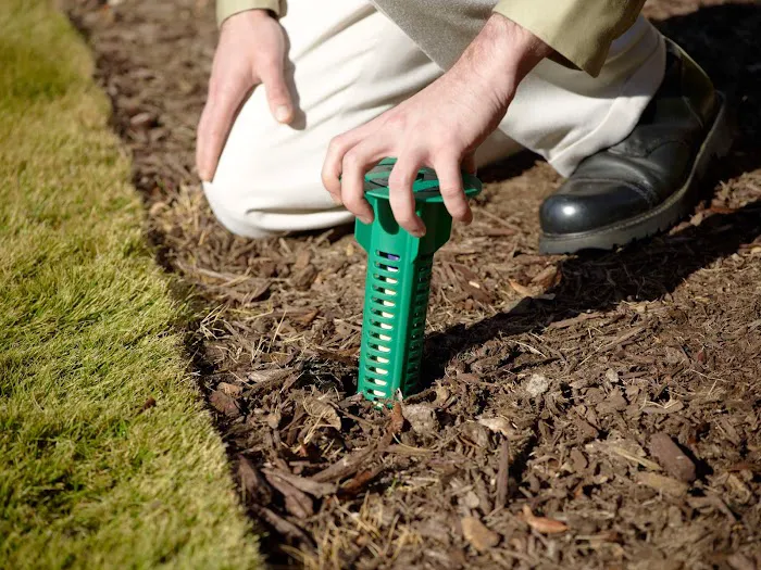 Vinx Pest Control Picture 10
