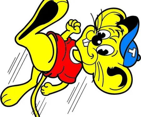 Superior Termite & Pest Control