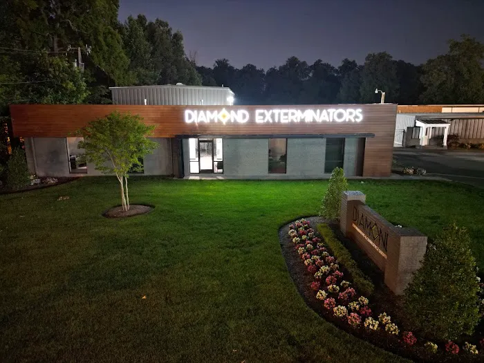 Diamond Exterminators Picture 8