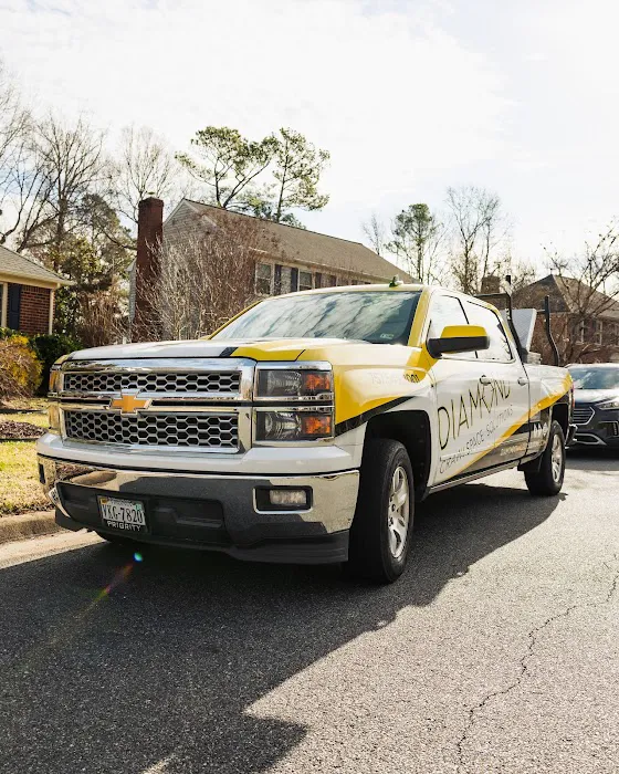 Diamond Exterminators Picture 6