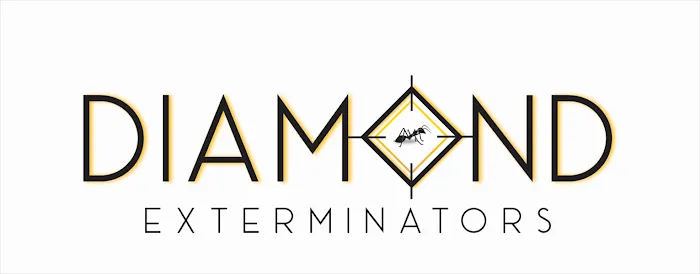 Diamond Exterminators Picture 10