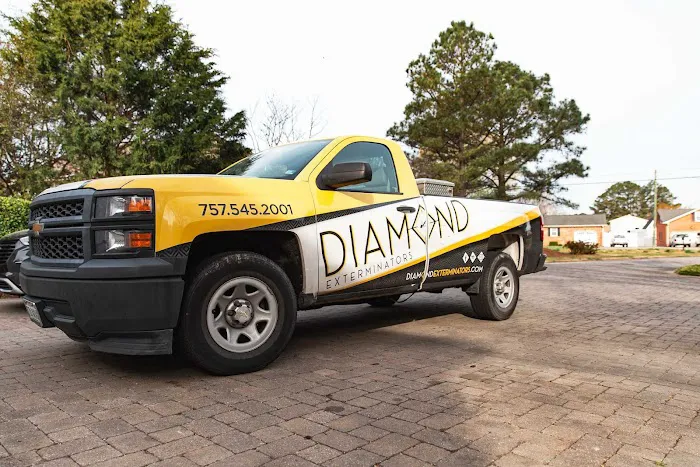Diamond Exterminators Picture 7