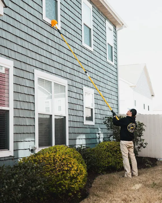 Diamond Exterminators Picture 4