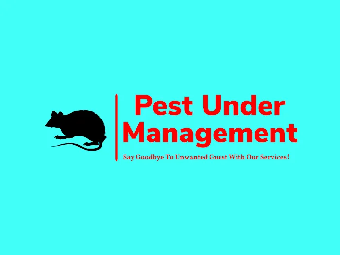 Pest Under Management Picture 1