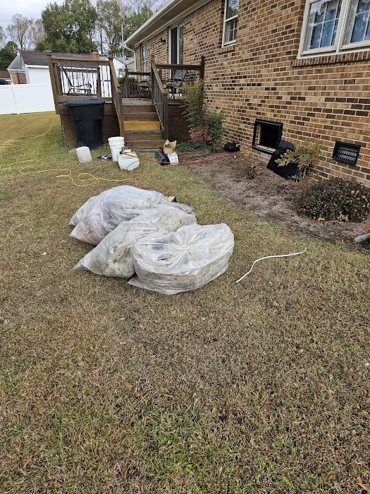 Action Termite & Pest Control Picture 4