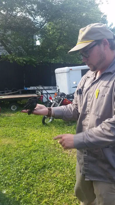 Action Termite & Pest Control Picture 6
