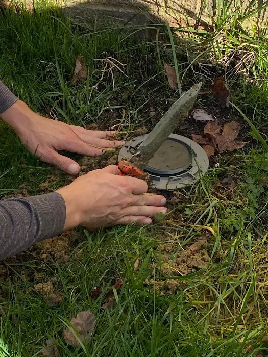 Spire Pest Control Picture 5