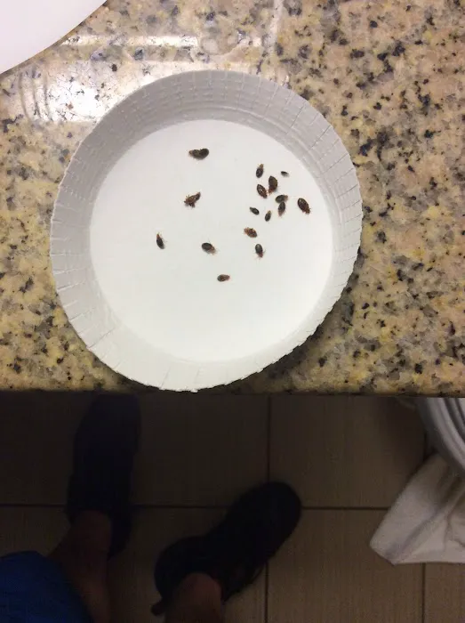 Bug-Masters LLC Picture 7