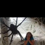 Bug-Masters LLC
