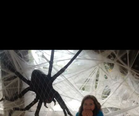 Bug-Masters LLC