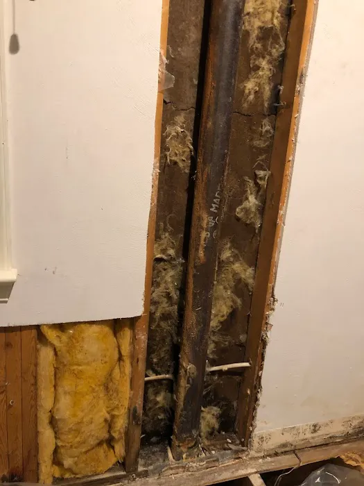 Global Pest Services, LLC Picture 1