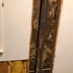 Global Pest Services, LLC