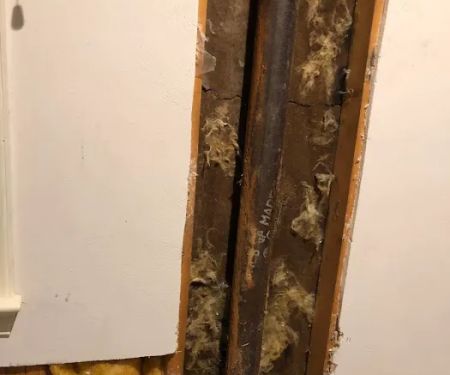 Global Pest Services, LLC