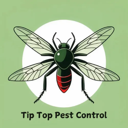 Tip Top Pest Control Picture 2