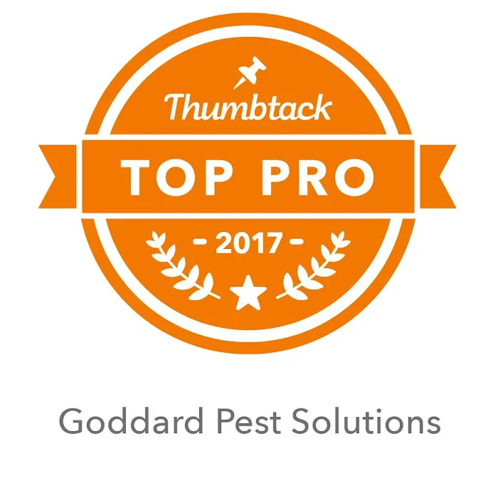 Goddard Pest Solutions of Chesapeake. Picture 4