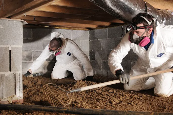 Priority Pest Services Picture 4