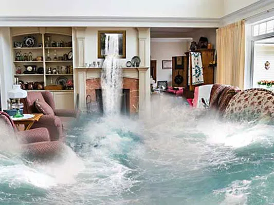 Priority Pest Services Picture 9