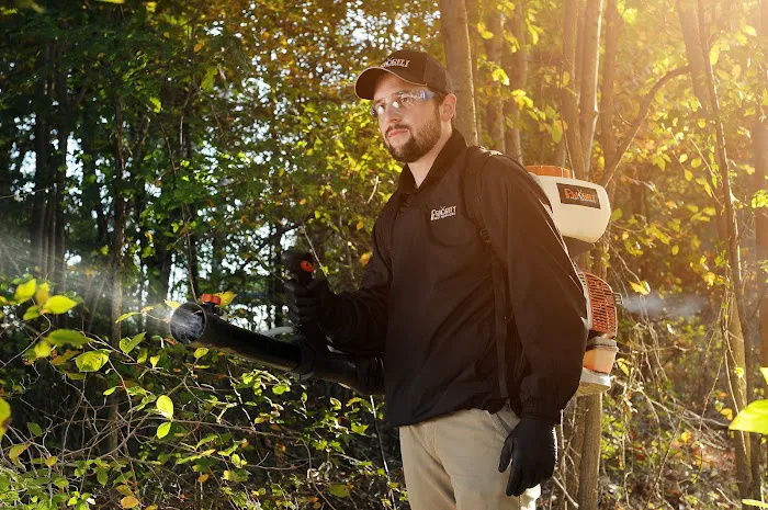 Priority Pest Services Picture 7