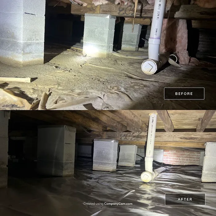 1st Choice Pest Control Picture 2